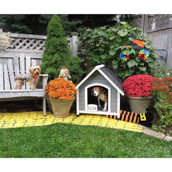 Evil Witch Legs for Planter Pots Halloween Patio Indoor Outdoor Decoration Acces - Picture 4 of 7